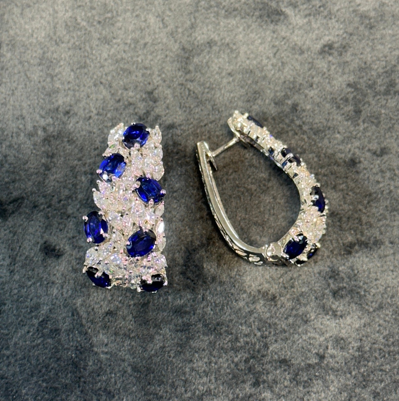 Blue Hoops of paradise