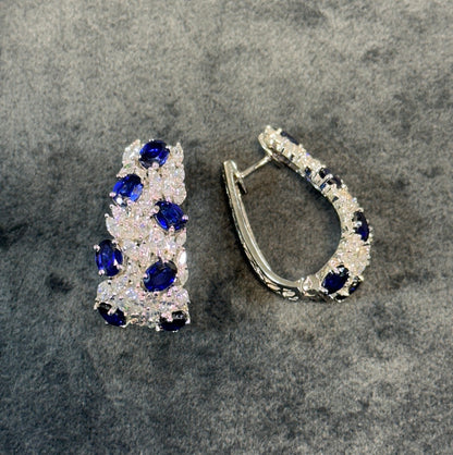 Blue Hoops of paradise